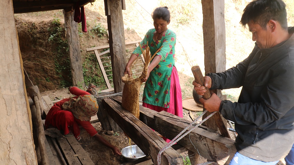 चिउरीबाट घ्यू उत्पादन गर्दै चेपाङ   